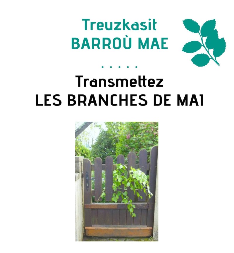 Transmettez les branches de mai