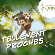 La Vallée des Singes