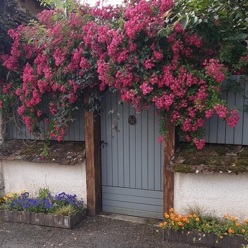 En présence du paysagiste, visitez ses jardins à thèmes en toute liberté.