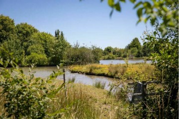 La Garonne, un refuge de biodiversité !