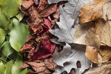 Opération de broyage de vos déchets végétaux - Vendredi 15 mai