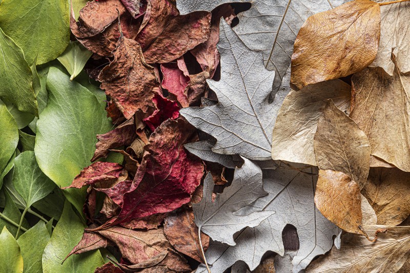 Opération de broyage de vos déchets végétaux - Vendredi 15 mai
