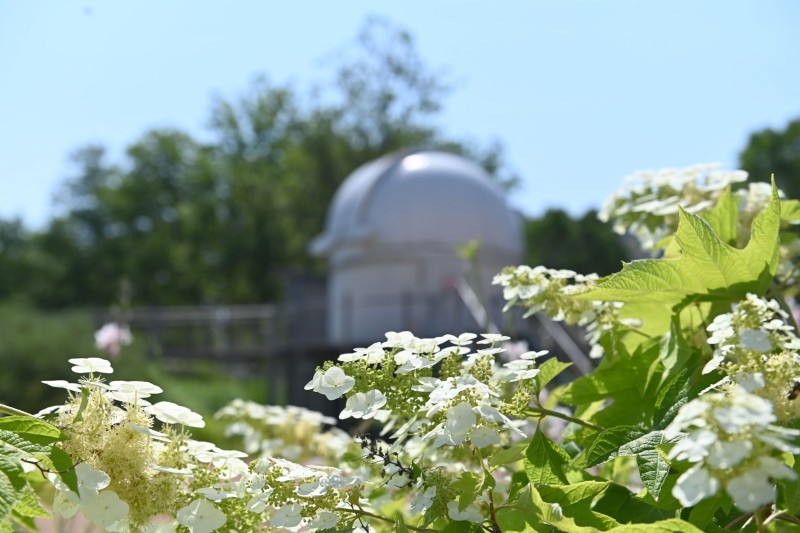 Voyage entre science et rêve au jardin astronomique