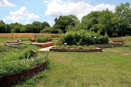 Visite du jardin botanique et de la parcelle agricole expérimentale
