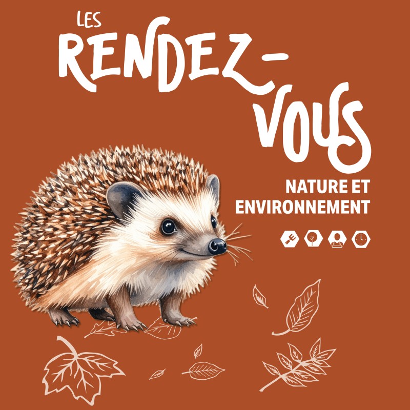 Atelier plantation des citrouilles