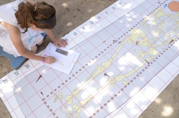 Atelier Inrap - Dessinez comme un archéologue !