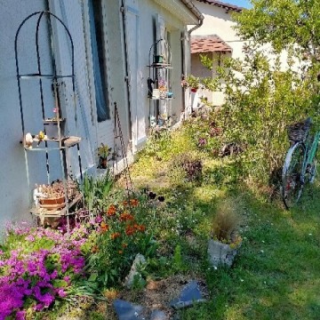 Visite de Jardin plantes comestibles