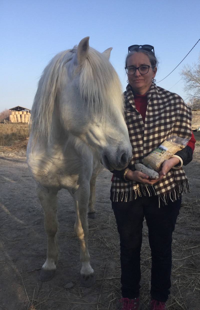 À la découverte des taureaux et du riz du Scamandre