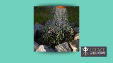 Atelier Lire et écrire sur des thèmes philosophiques : Vivre