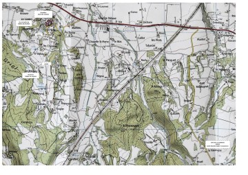 Balade d'arbre en arbre