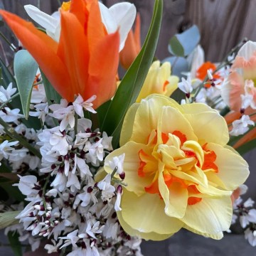Atelier tontinage au jardin de Glycine