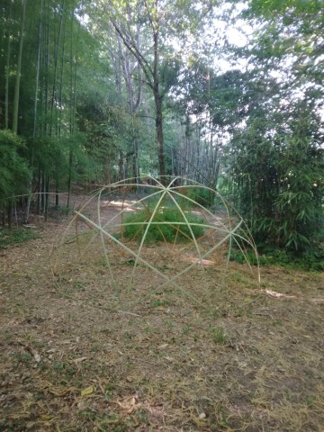 Visite de l'arboretum