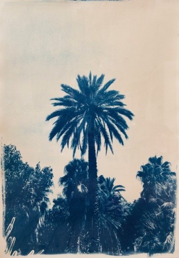 Découverte du Jardin Corot
