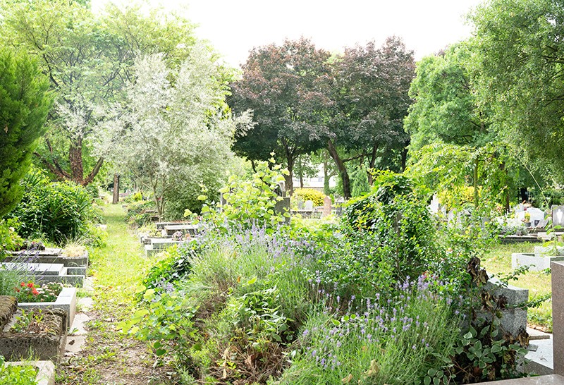 Les cimetières : lieux de mémoire, lieux de promenade