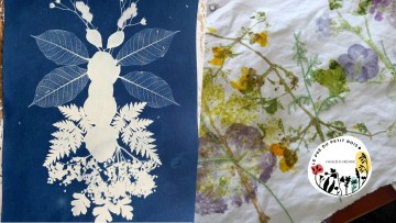 Balade des fleurs