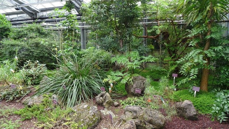 Visite des serres tropicales