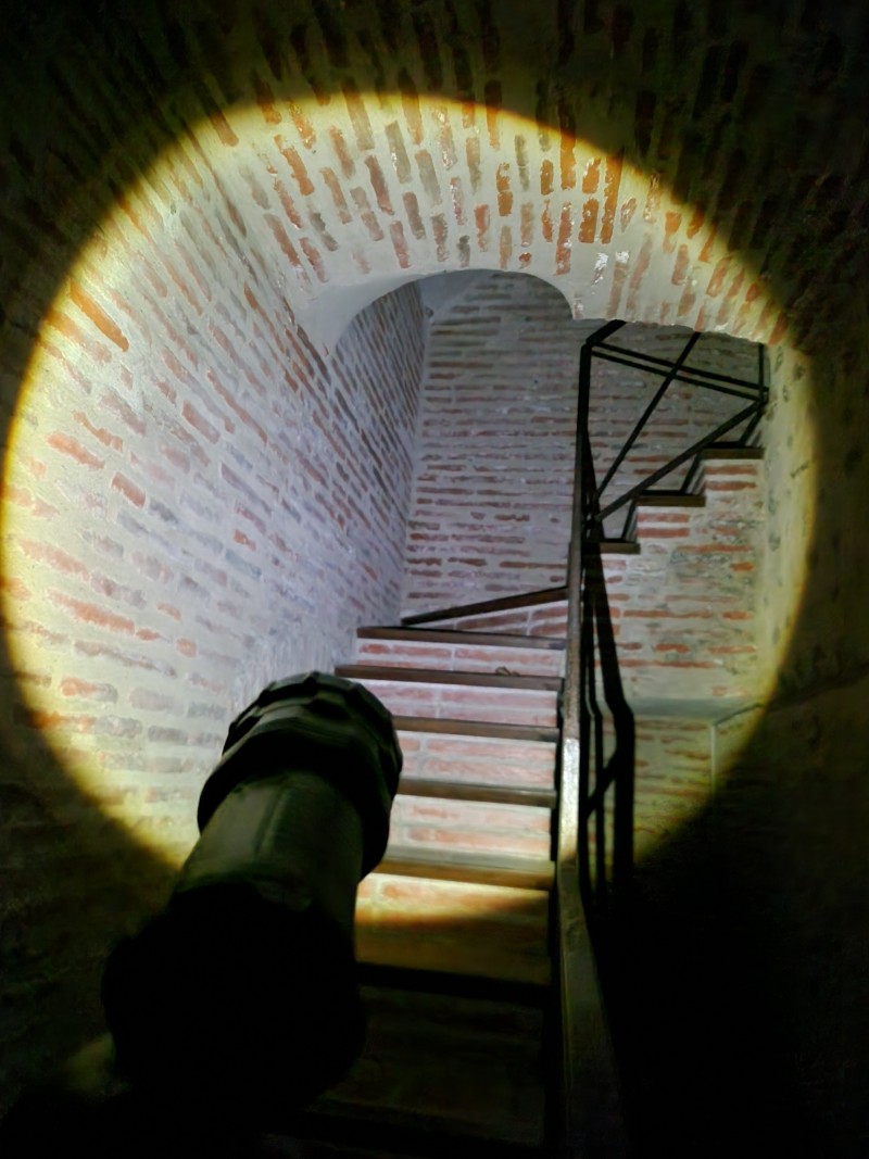 Visite nocturne à la lampe torche avec les guides du Musée