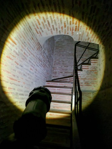 Visite nocturne à la lampe torche avec les guides du Musée