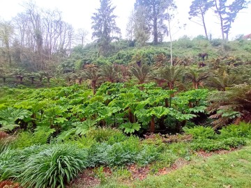 Visites guidées gratuites du Jardin botanique