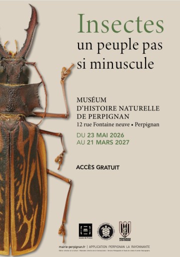 Exposition temporaire: Insectes,un peuple pas si minuscule