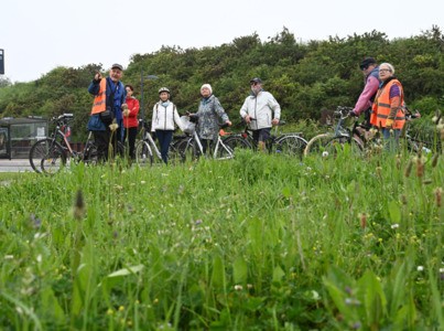 Promenade à vélo art & espace public