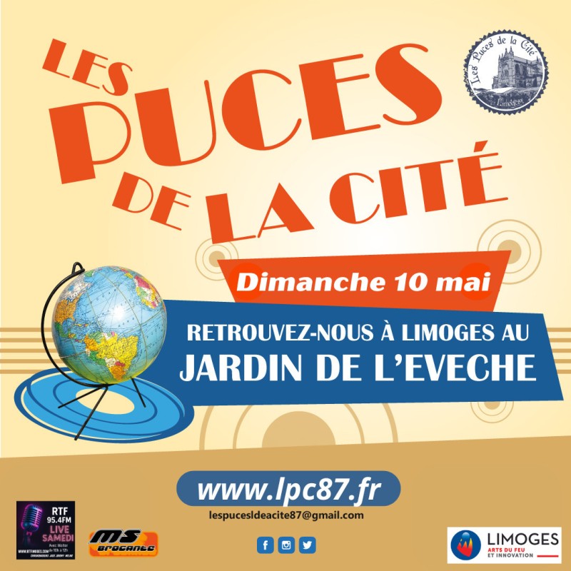 Les puces de la cité