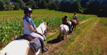 Randonnée équestre Bô dimanche aux Hayes