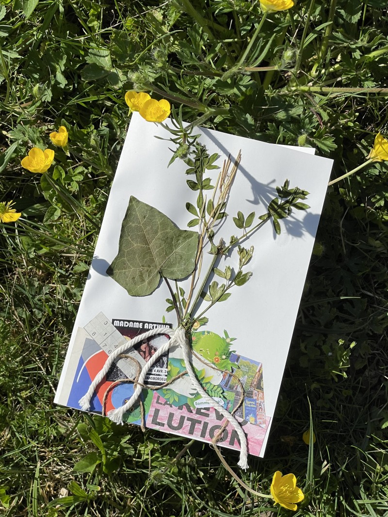 Atelier herbier artistique🌿