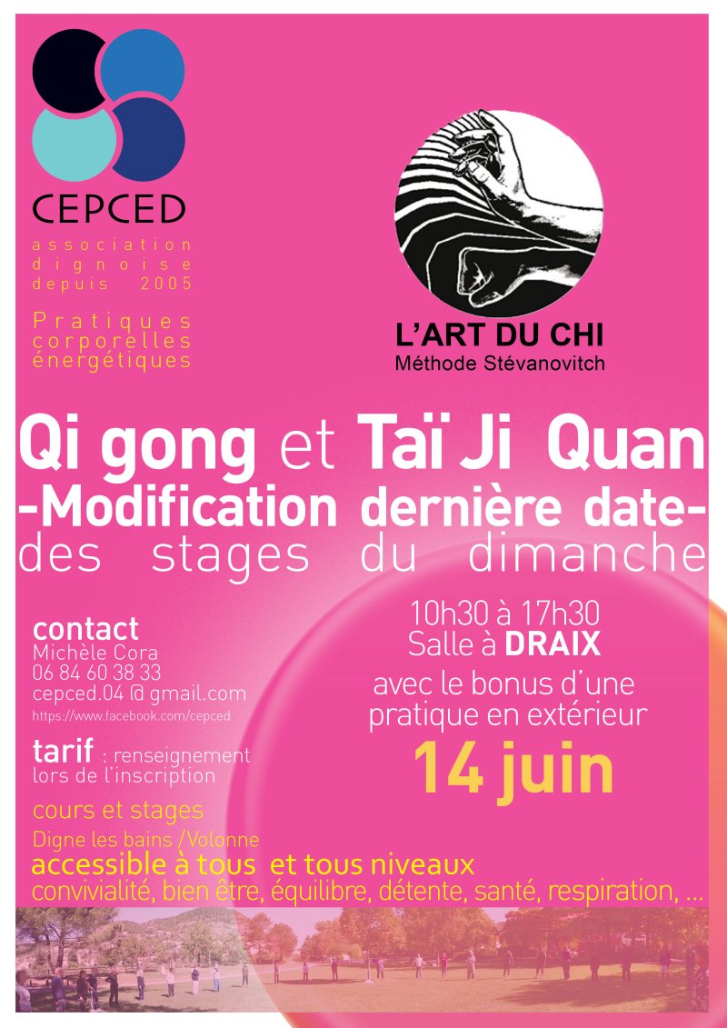 QI GONG TAI JI QUAN