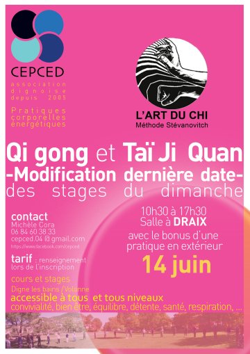 QI GONG TAI JI QUAN