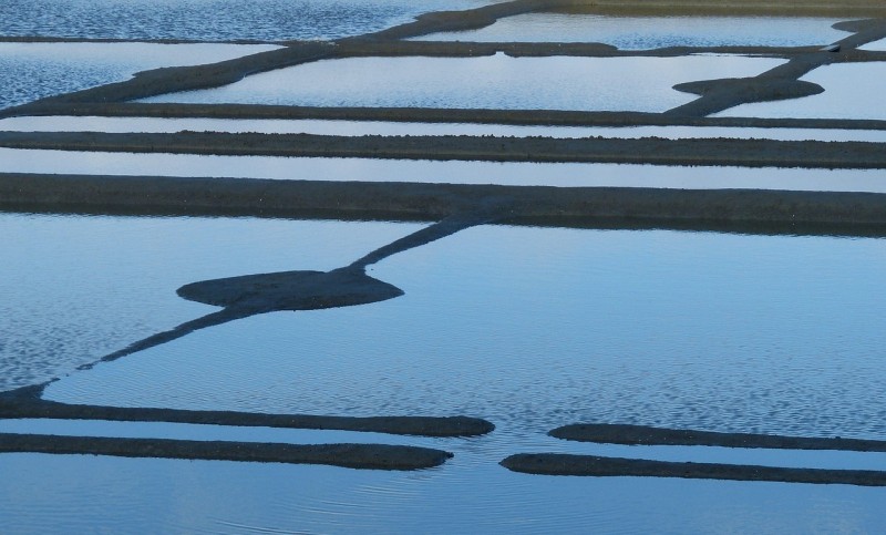 Exposition photos