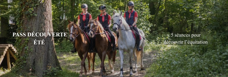 PASS découverte équitation