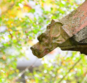 Découverte d'un jardin, trésor de la Belle Epoque en centre ville de Vendôme