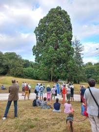 RDV Aux Jardins 2026 - Visite éclair du parc du château du mortier à Monnaie