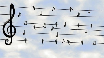 Concert annuel