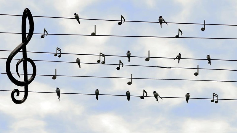 Concert annuel