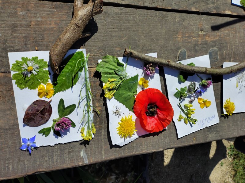 Programme d'animations nature - Le monde secret du jardin