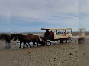Découverte de la Pêcherie "La Maillard" en calèche