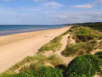 La faune et la flore d'Omaha Beach