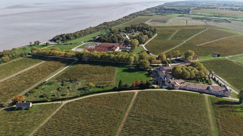 Vues remarquables du vignoble du Château Loudenne