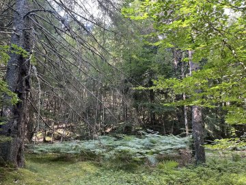 PRINTEMPS DES SENS - SÉJOUR OUÏE ET TOUCHER