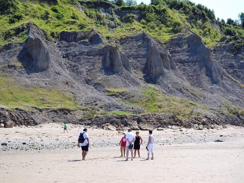 Visite guidée des falaises des Vaches noires