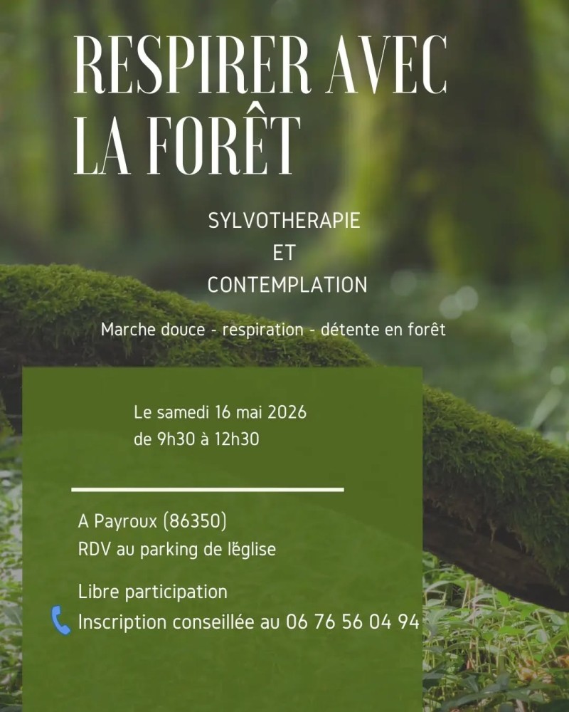 Respirer avec la forêt