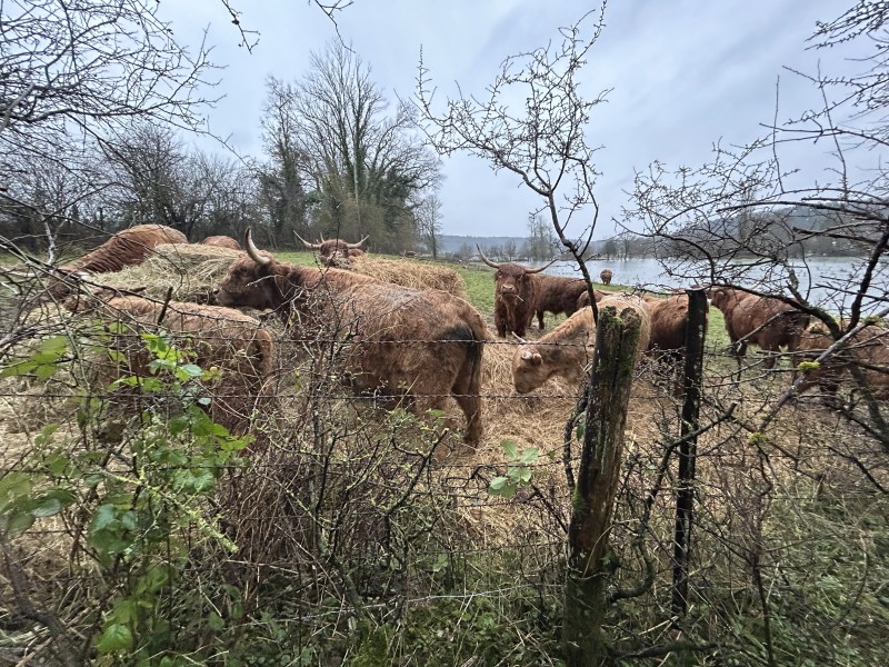 Après-midi à la ferme du château, Aube