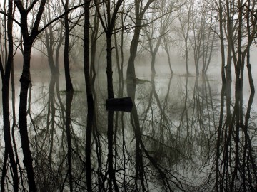 Inauguration "sauvage" : art et nature en dialogue - La Moselle Sauvage en Fête !