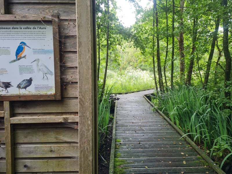 La richesse faunistique du marais de la vallée de l’Aure