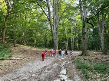 Festival Nuits des Forêts