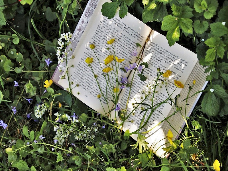 Carnets nature et autres créations végétales