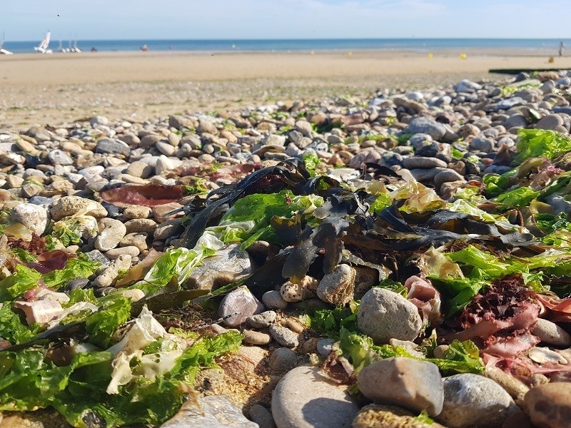 Contes de la baie