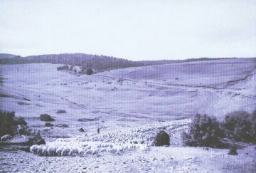 BALADE ANIMÉE - MERCOIRE D'AUTREFOIS, PAYS DE TRANSHUMANCE